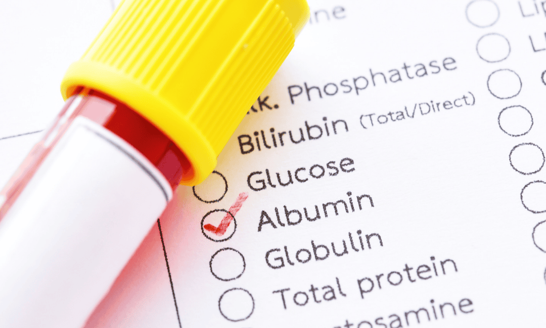 एल्बुमिन प्रोटीन सप्लीमेंट के फायदे और उपयोग क्या हैं? (Albumin Protein in Hindi)
 image