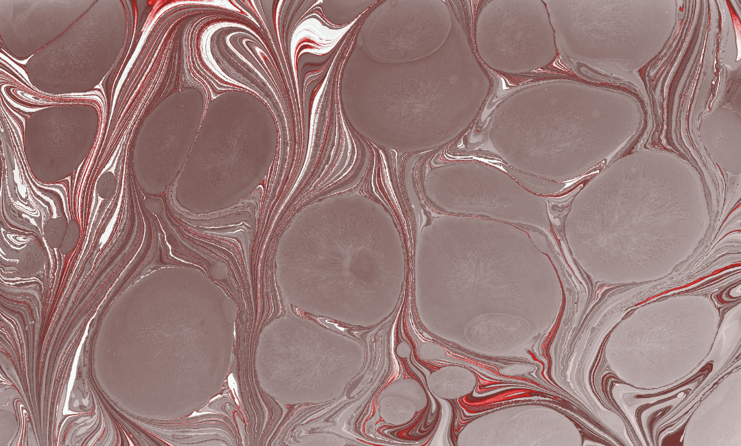 Myelofibrosis is a kind of bone marrow disorder