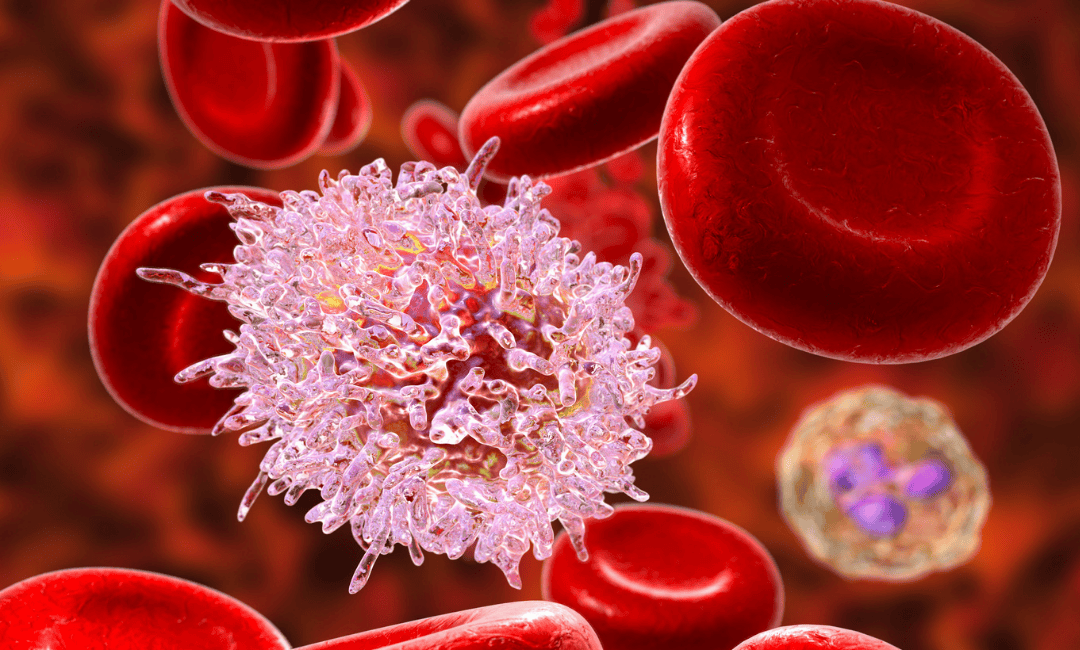 Difference between benign and malignant tumours