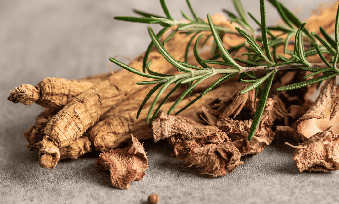 *Ginseng *Supplement: Uses, Benefits, and Energy Support
 image