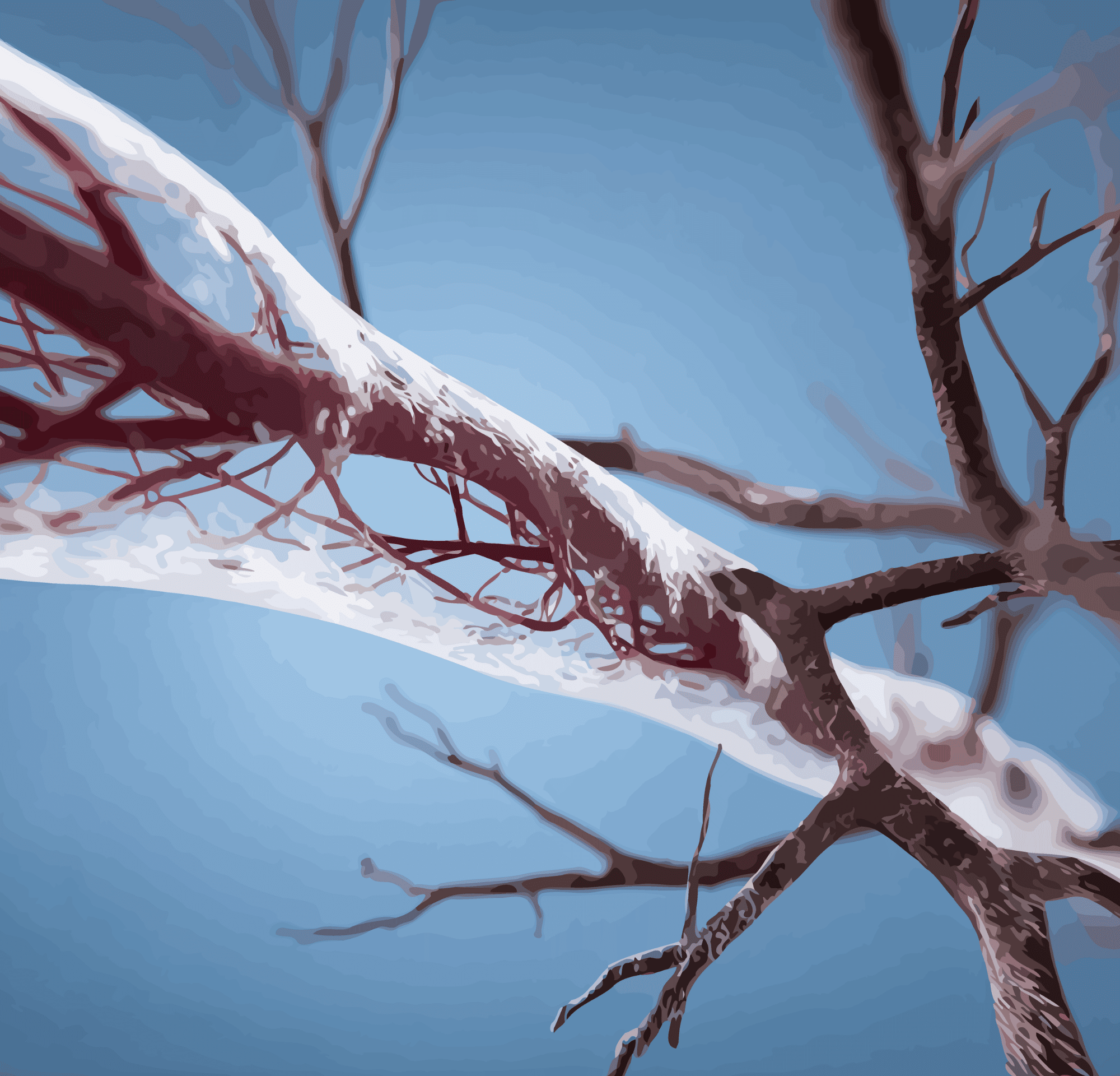 *Role *of *Angiogenesis *in *Cancer*: What You Need to Know image