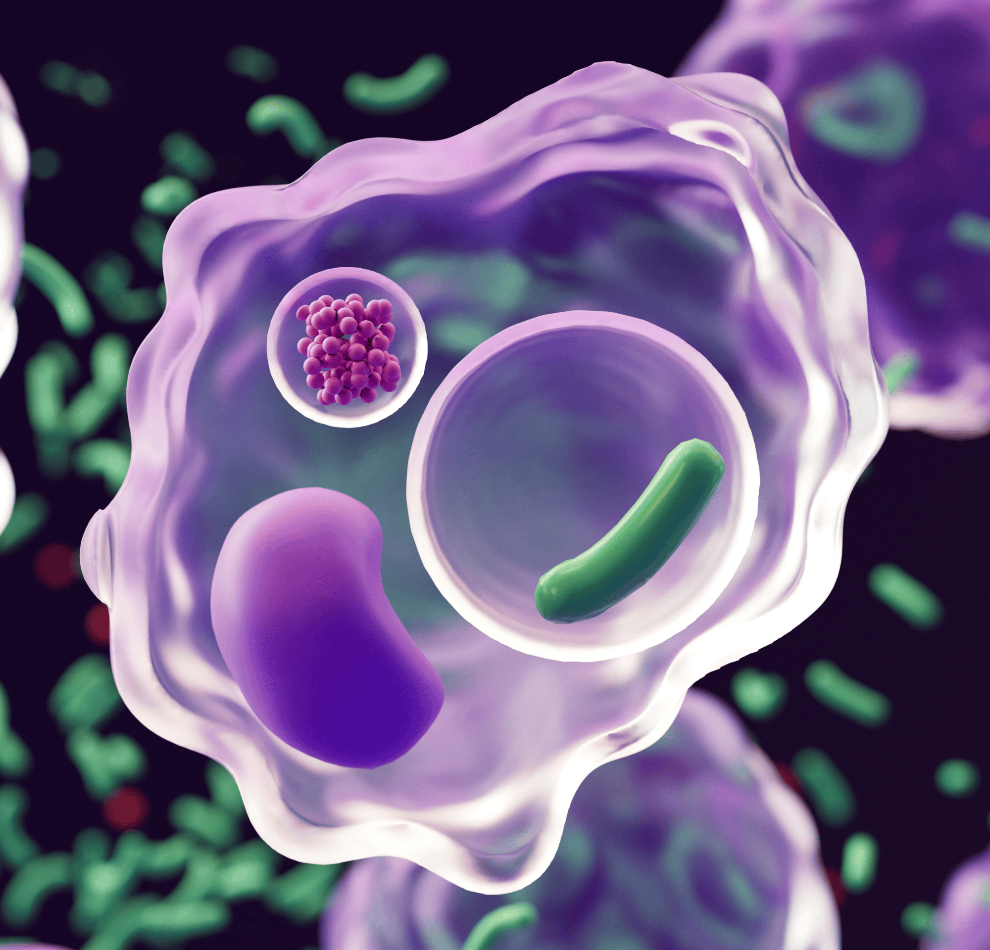 A Guide to Digestive Enzymes: Benefits, Uses, and Types 