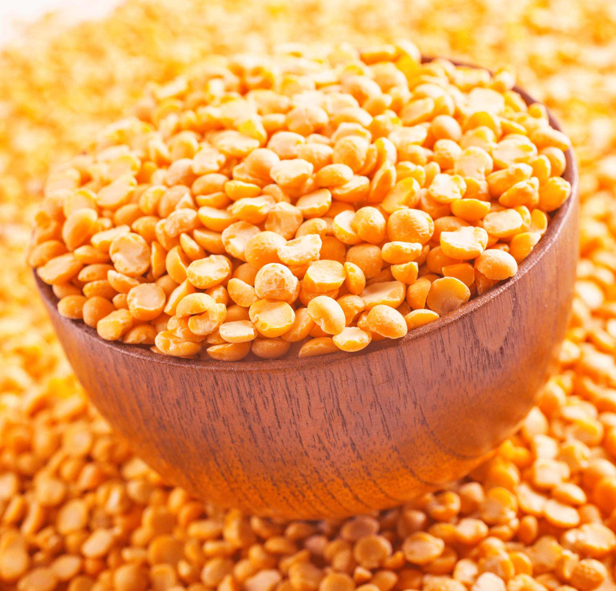 How Pea Protein Supports Nutrition & Recovery in Cancer Patients image